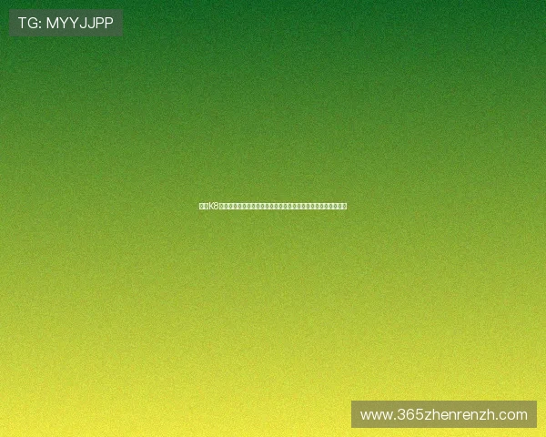 探索K8凯发电游官网安全登录流程，确保账号信息安全与顺畅游戏体验